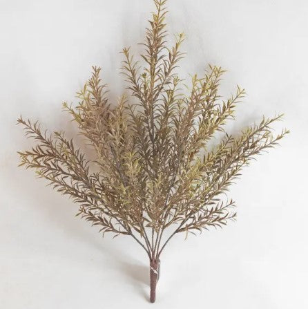 A branch with green leaves and brown stems is displayed against a white background.