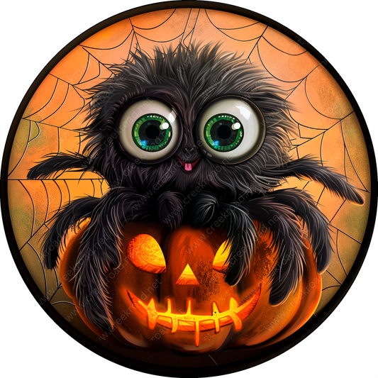 a spider sitting on top of a pumpkin