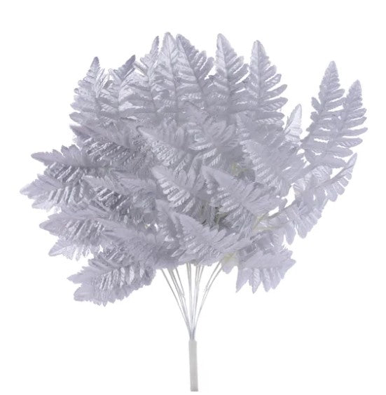 A cluster of white, feathery fern-like leaves or fern fronds, creating a visually striking and delicate appearance.