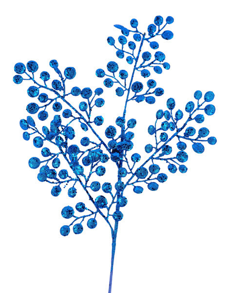 a blue plant with lots of blue berries on it