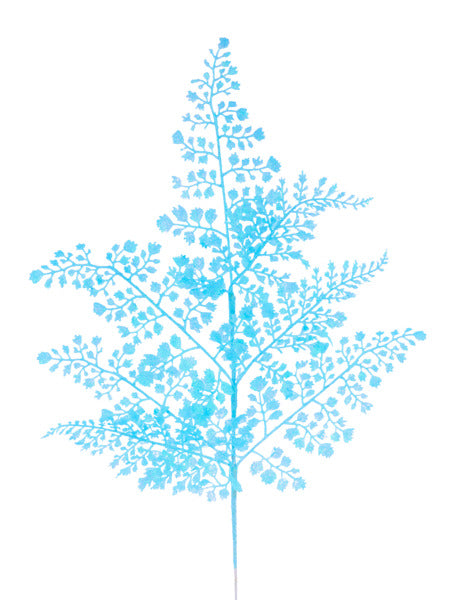 a blue plant with green leaves on a white background