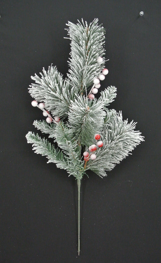 A sprig of pine needles with red berries on a black background.