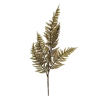 a plant that is on a white background