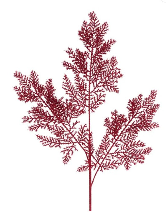 a red, leafy plant with intricate, branching patterns.
