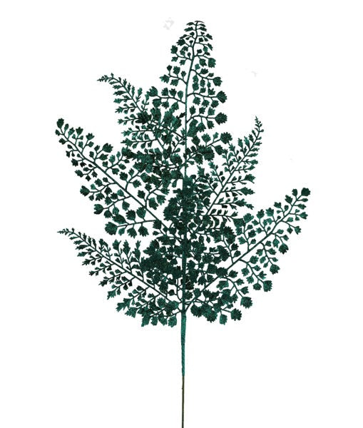 a tree with green leaves on a white background