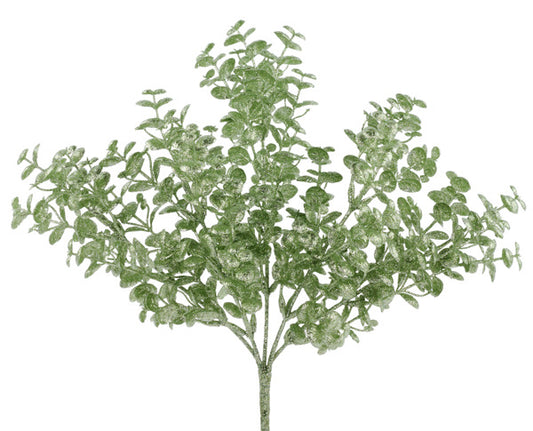 A lush, green plant with numerous leaves and branches, creating a dense, verdant appearance.