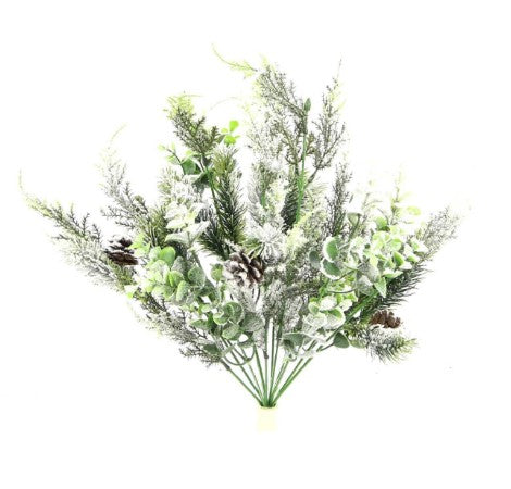 a bunch of green plants on a white background