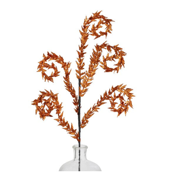 a plant in a vase on a white background