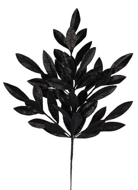 A black leafy plant with numerous dark green leaves arranged in a stylized manner.