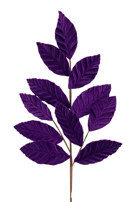 a vibrant purple plant with numerous large, intricately detailed leaves.