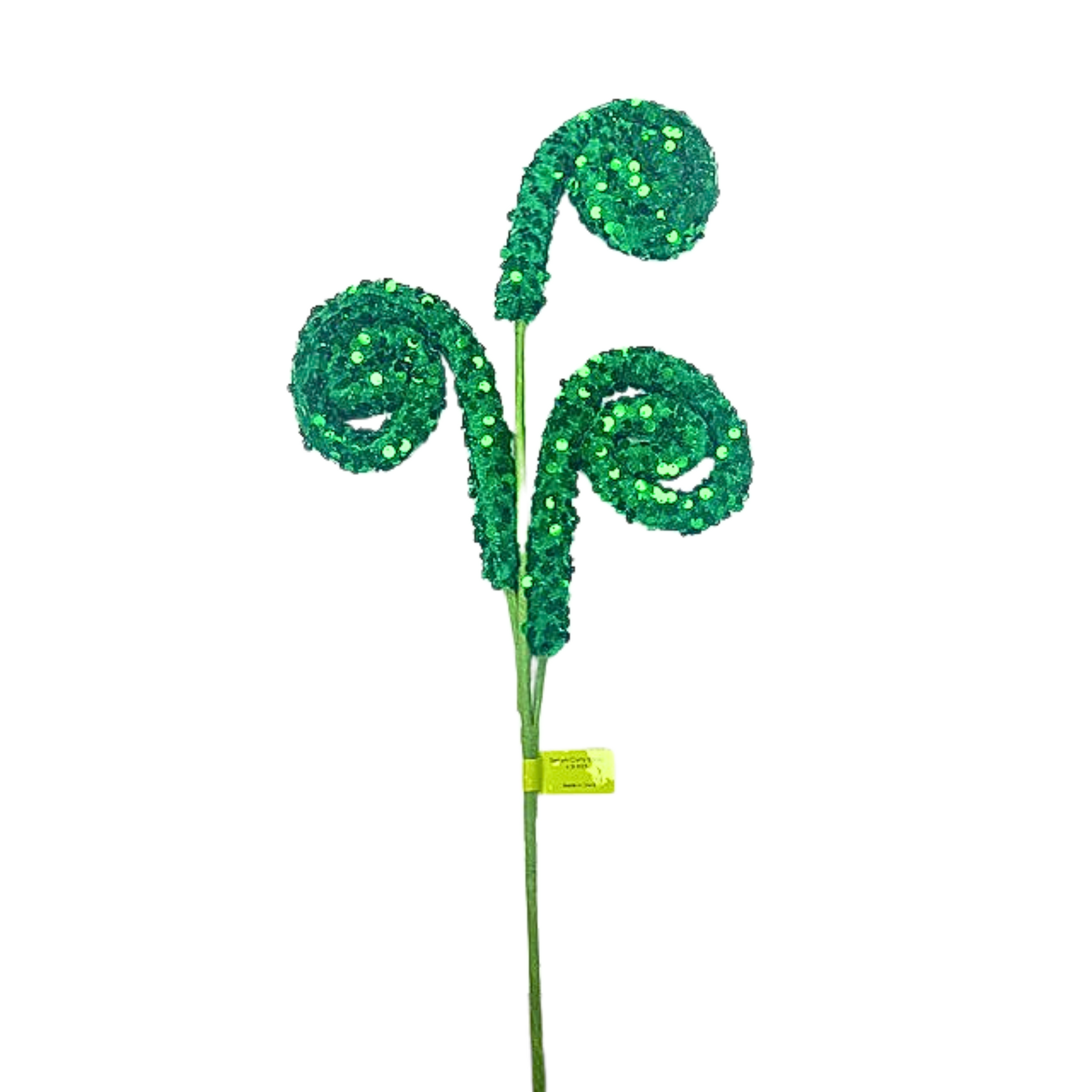 a green plant with a long stem with beads on it