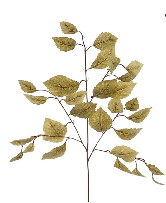 a branch with numerous green leaves, arranged in a way that creates a sense of depth and complexity.