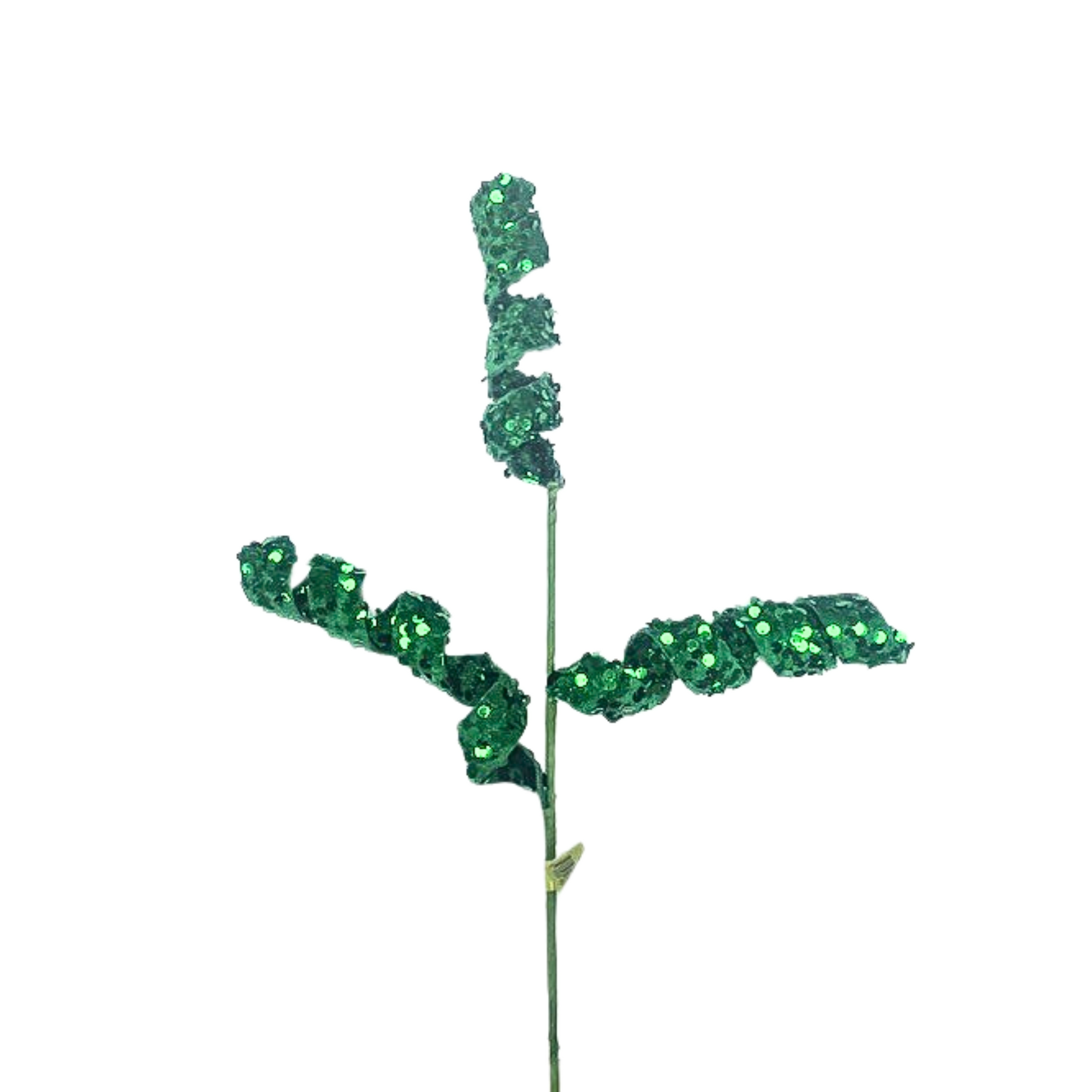 a plant with green leaves on a white background