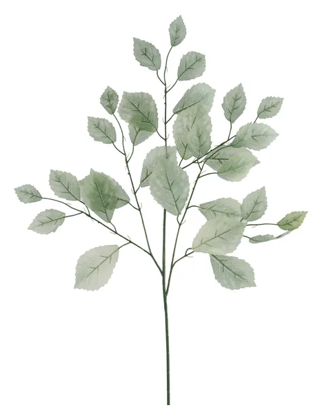 A branch with green leaves, resembling a plant or tree, against a white background.