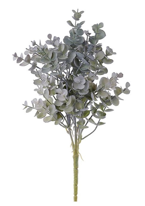 A bunch of gray eucalyptus leaves arranged in a cluster.