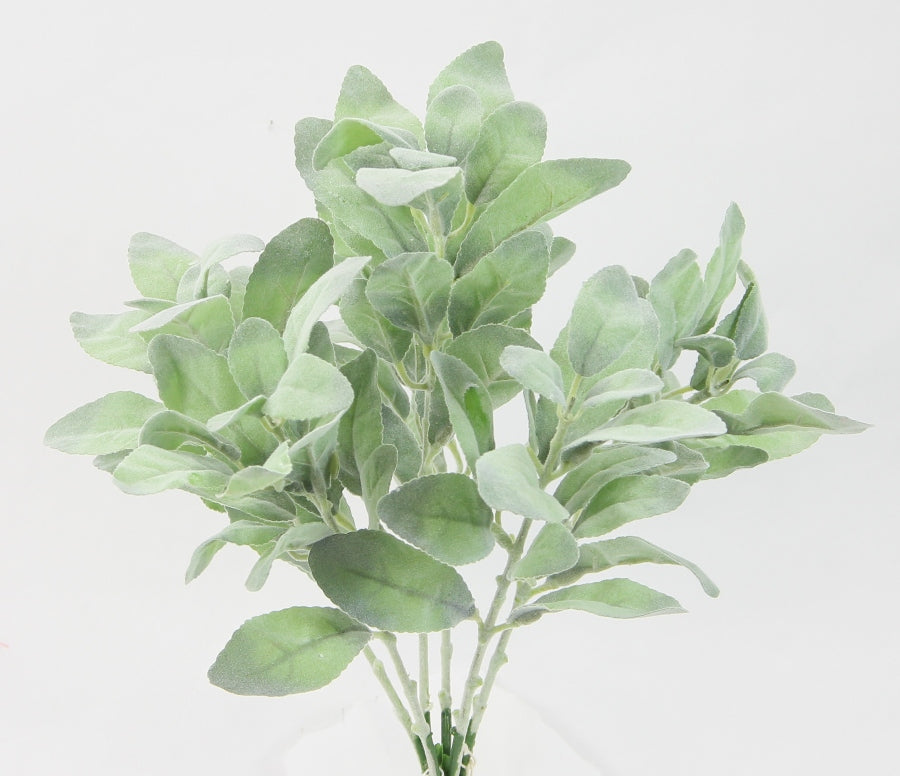 a green plant in a white vase on a table