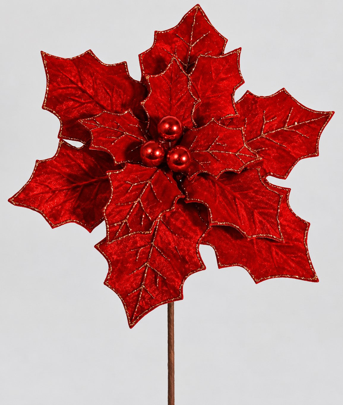 A vibrant red poinsettia flower with shiny red berries is the focal point of the image.