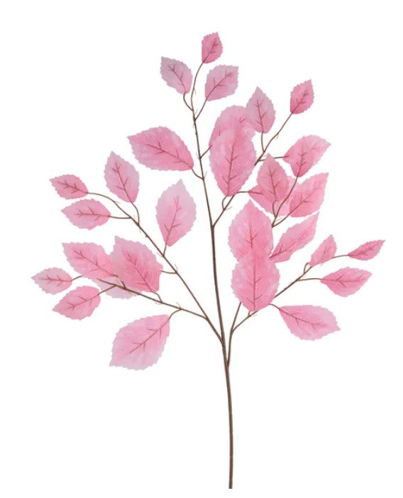 A branch with pink leaves against a white background.