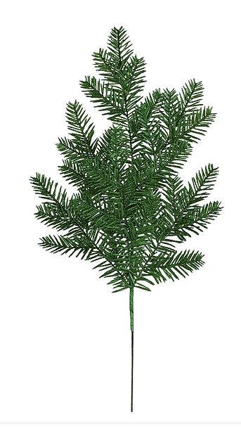 A close-up view of a branch with green needles, resembling a pine tree or a similar evergreen plant.
