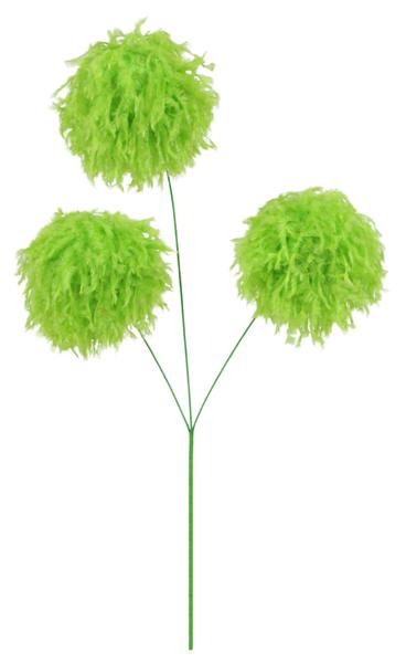 three fluffy green flowers on a white background