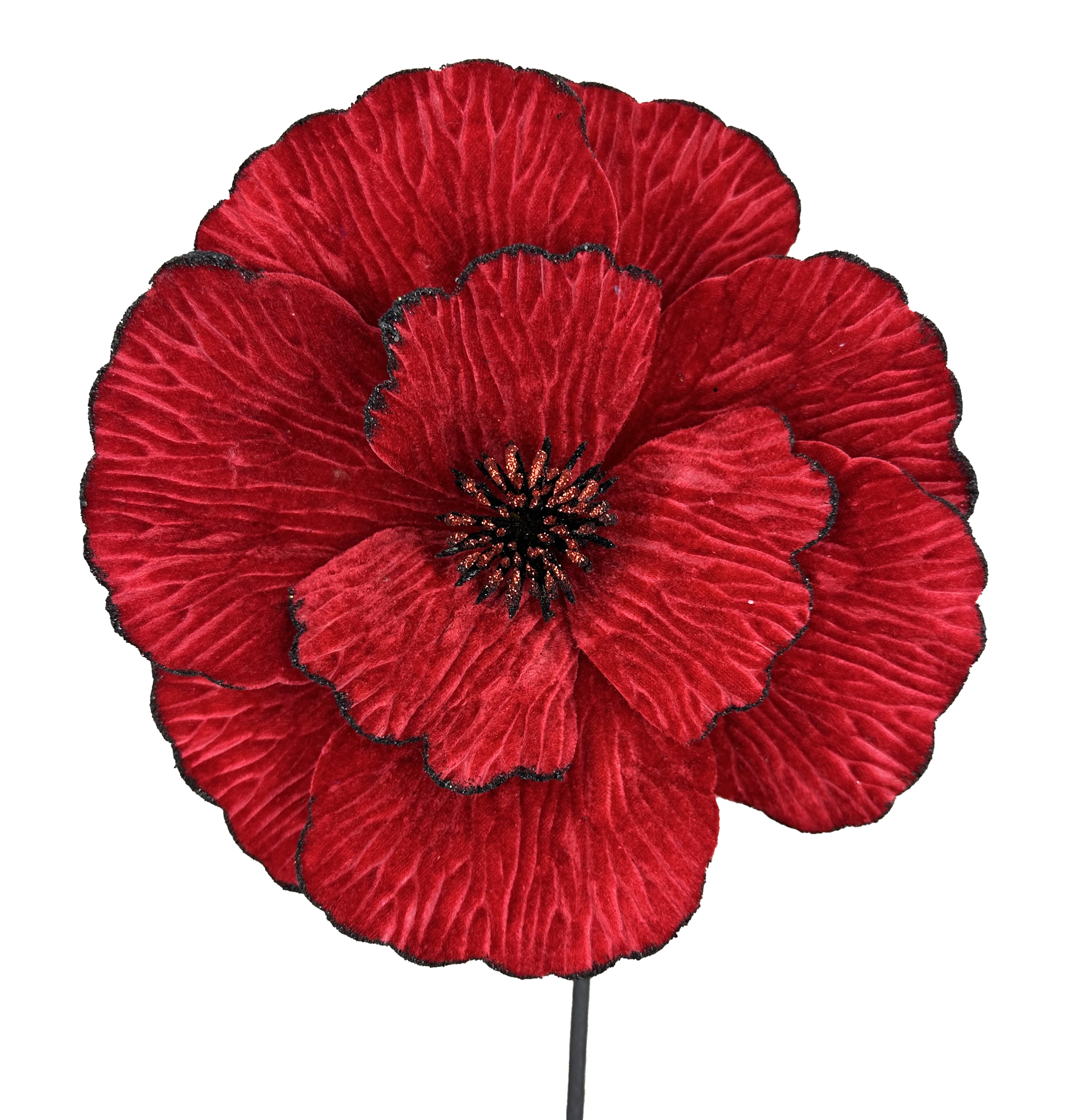 A large, vibrant red flower with a dark center is the focal point of the image.