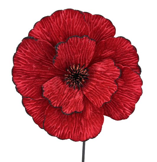 A large, vibrant red flower with a dark center is the focal point of the image.