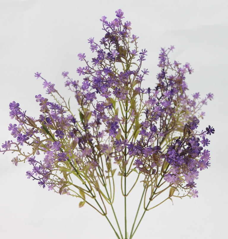 A close-up view of a cluster of delicate purple flowers with green stems, set against a plain white background.