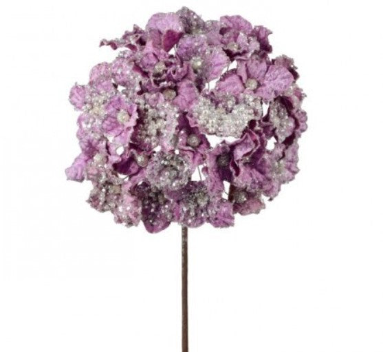 A single, full-bloomed purple flower with a round shape and numerous small white flowers.