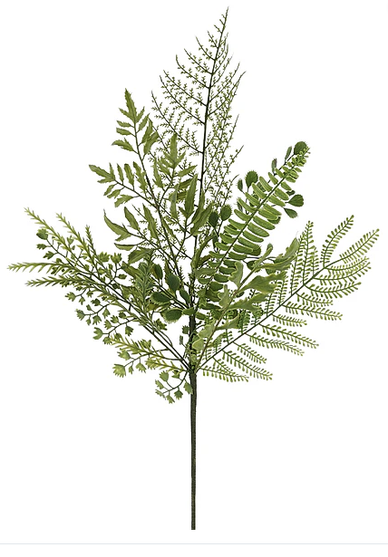 a branch of ferns with a mix of green leaves and stems, creating a lush and verdant appearance.