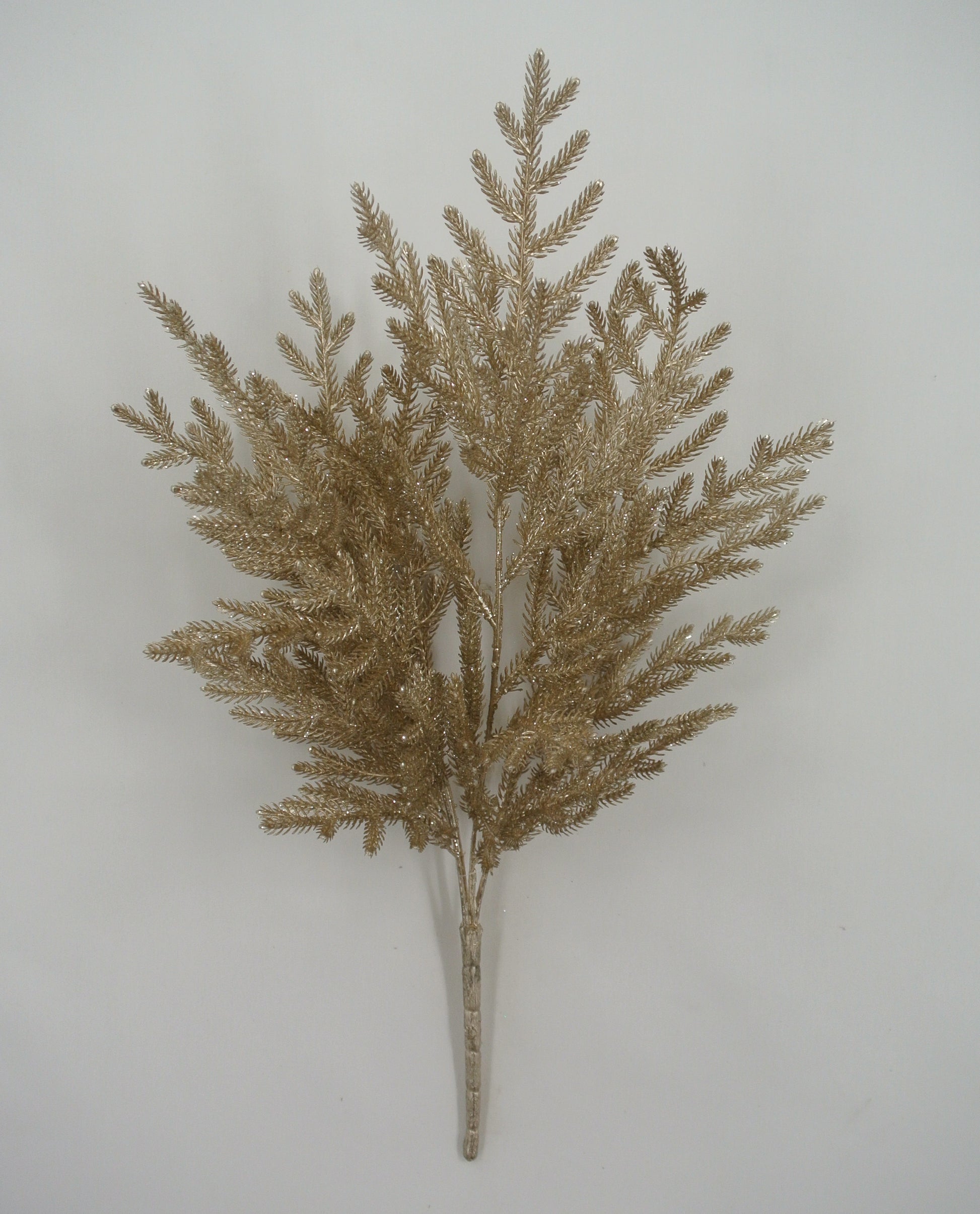 A golden, leafy branch with intricate, overlapping branches is displayed against a plain white background.