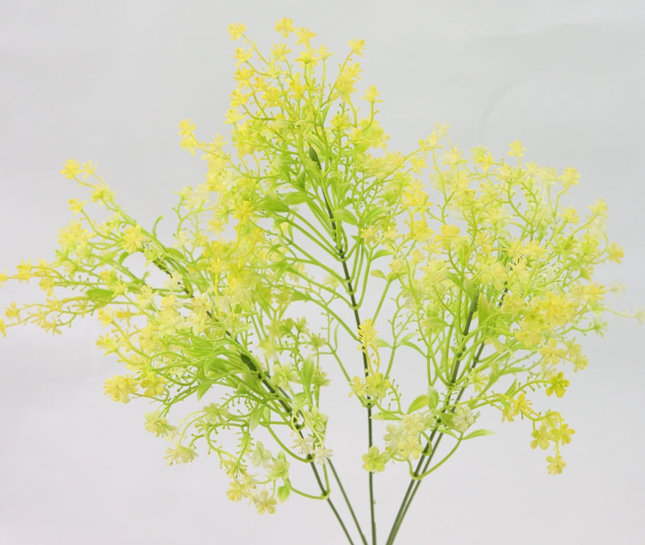 a close-up view of a branch with small yellow flowers, creating a vibrant and lively visual effect.