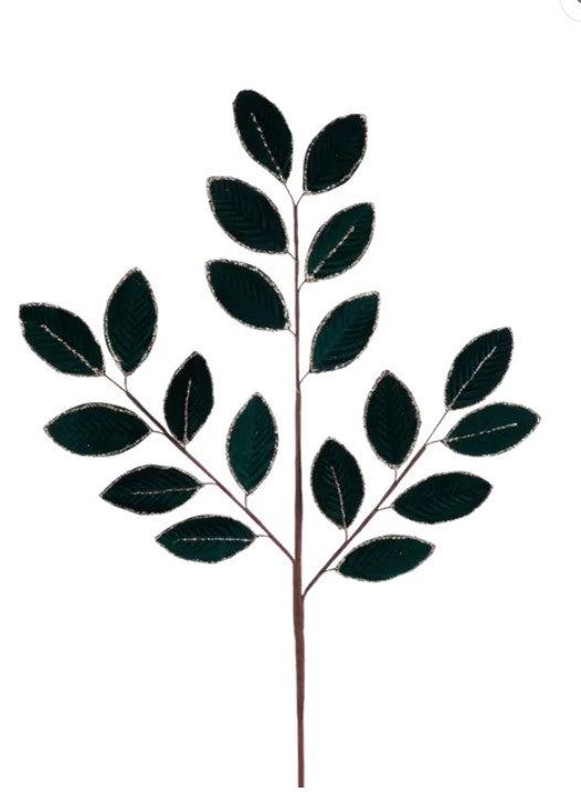 A stylized image of a plant with dark green leaves and a brown stem.