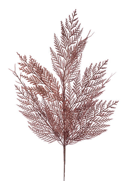 a plant with brown leaves on a white background