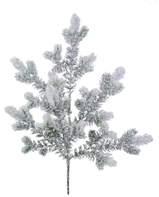 A snow-covered branch with delicate, snow-like leaves and branches.