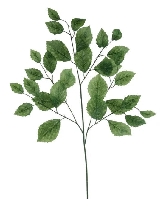 A branch with green leaves, resembling a plant or tree, is shown against a white background.