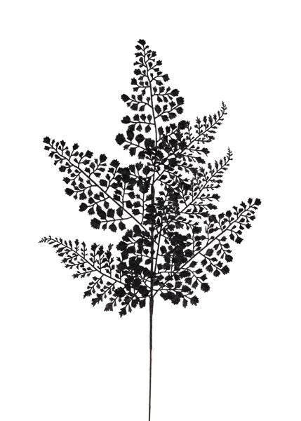 a black and white silhouette of a tree