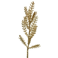 a plant that is on a white background