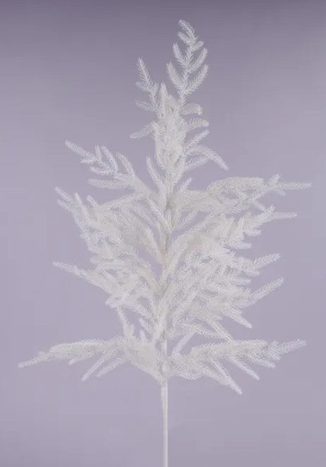 A white, snowflake-like branch with delicate, feathery leaves against a purple background.