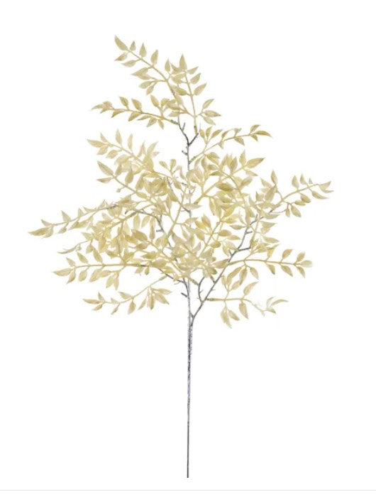 A single, tall, leafy branch with a delicate, pale yellow color stands out against a white background.