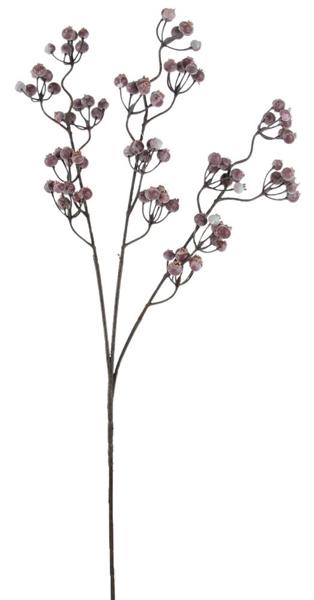 A single branch with small purple flowers or berries attached to it.