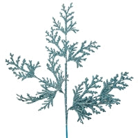 a green plant is shown against a white background