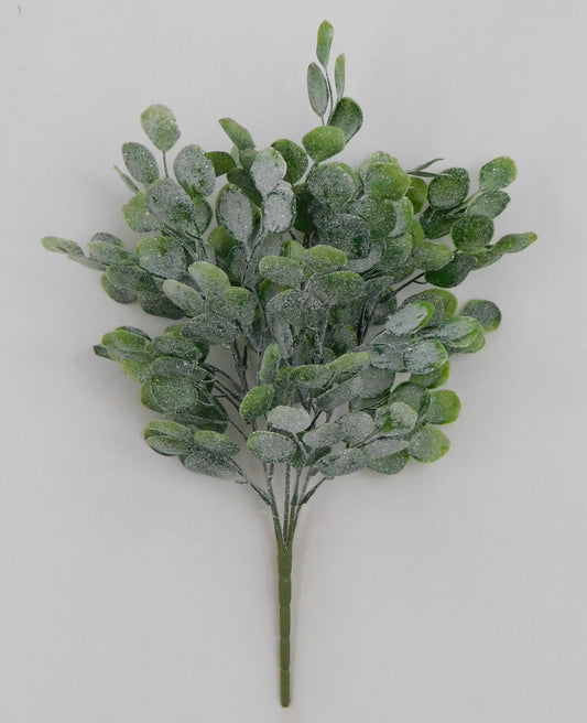 A bunch of green leaves with a frosted or icy appearance, creating a visually striking contrast against the plain background.