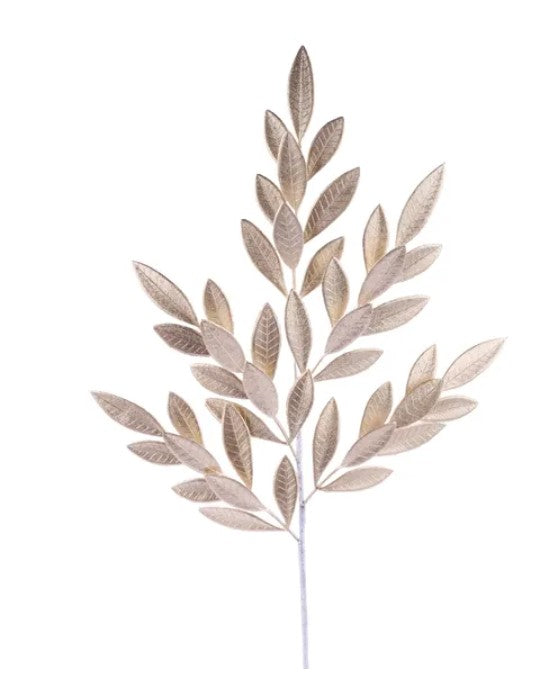 A branch with numerous small leaves, creating a visually appealing and intricate design.