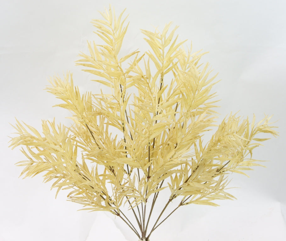 A cluster of yellow, leafy branches with long, thin leaves against a white background.