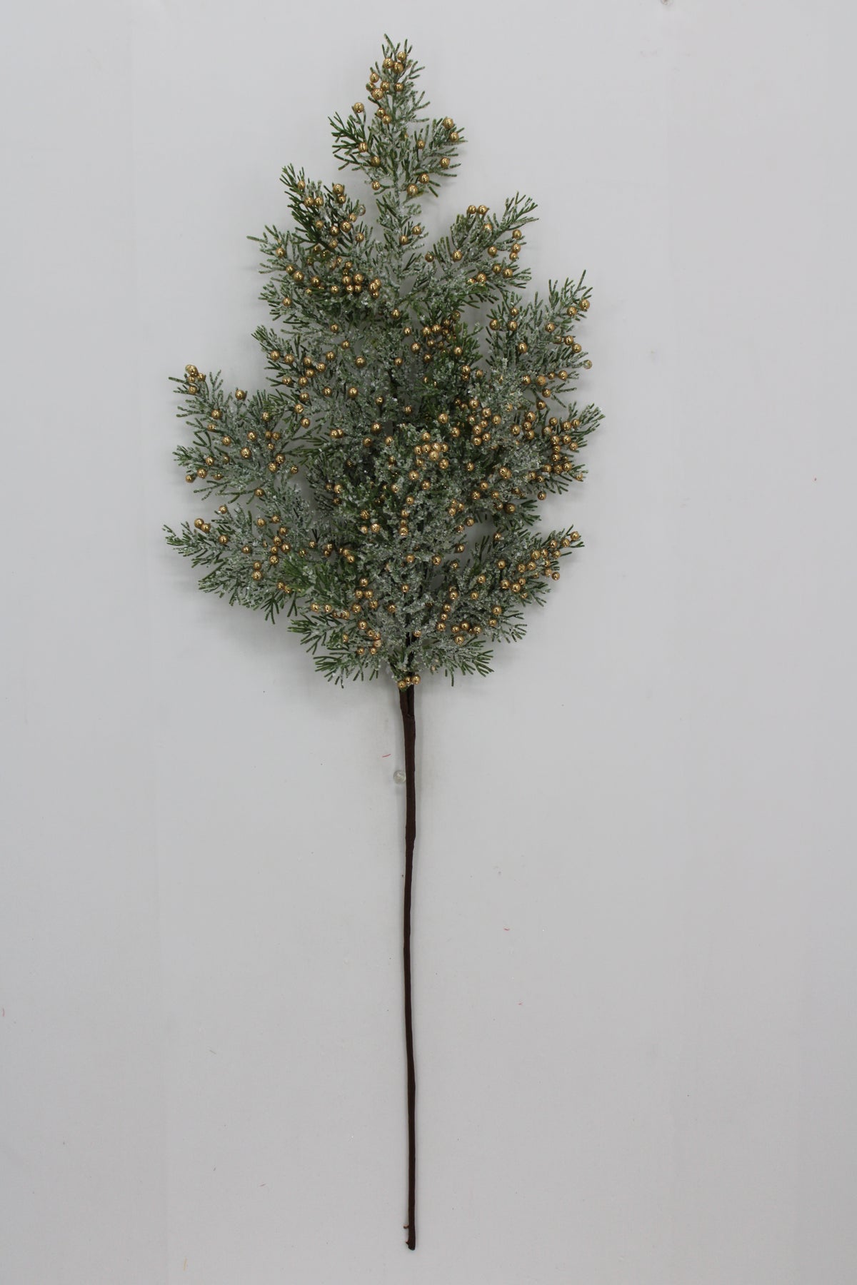 A sprig of pine needles with small yellow berries attached, set against a plain white background.