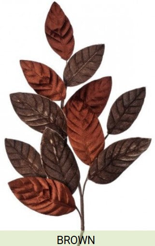 A branch with brown and red leaves.