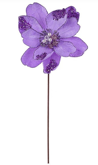 A single, vibrant purple flower with a brown stem is the central focus of the image.