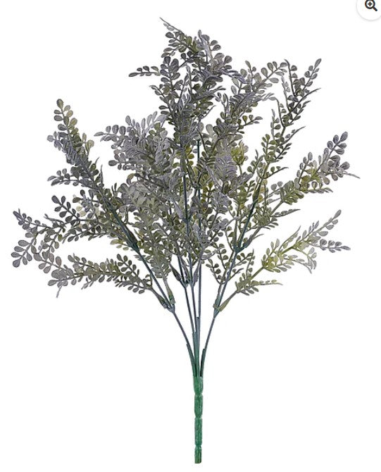 a group of green leaves arranged in a cluster, with a few branches extending outwards.