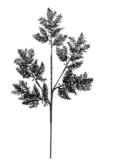 A black and white image of a tree branch with intricate, leaf-like patterns.
