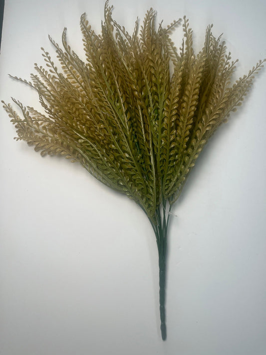 a bunch of green leaves or plant parts arranged in a fan-like shape, with a few stems visible.